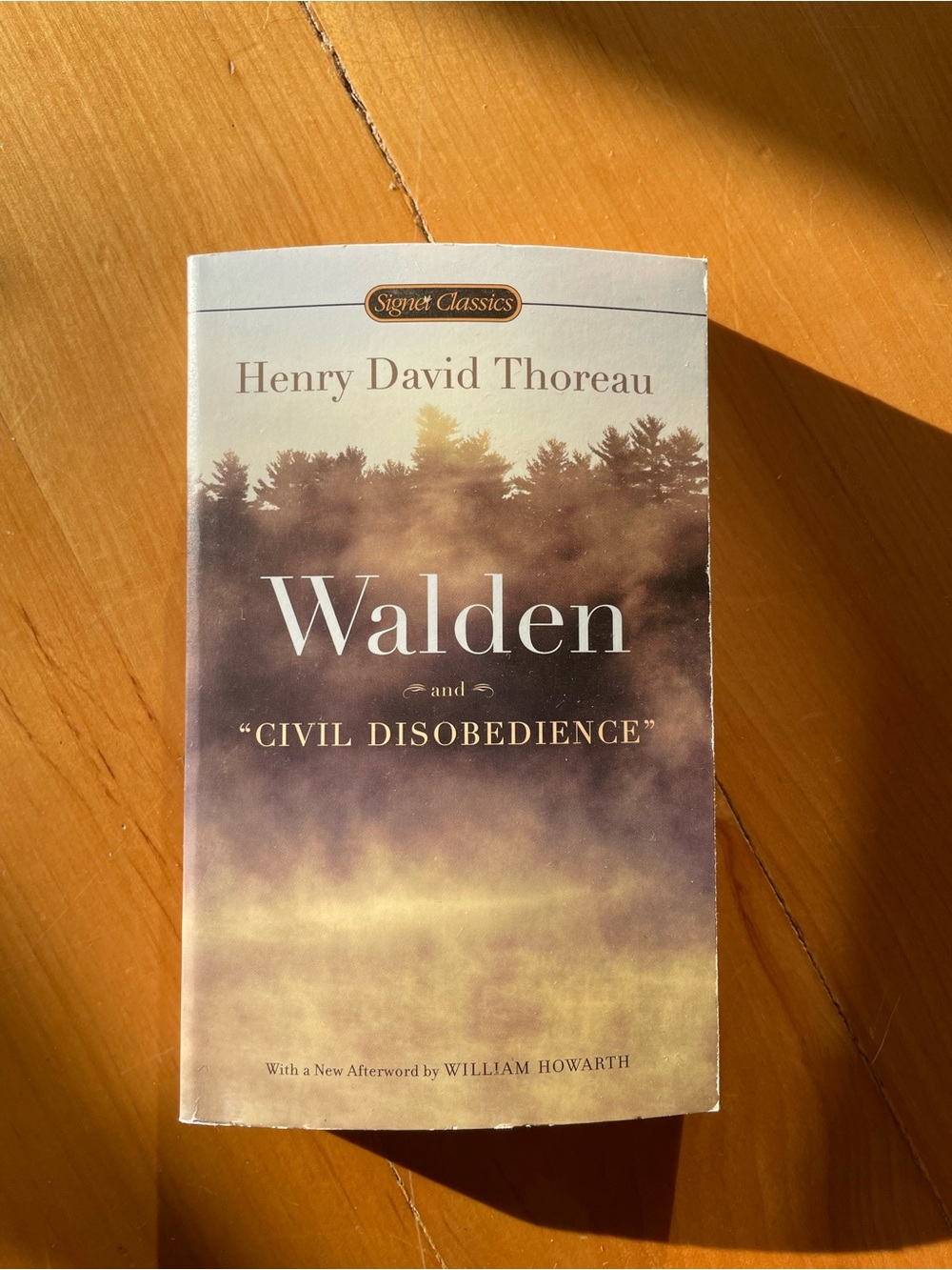 Walden and Civil Disobedience by Henry David Thoreau - classic softcover book